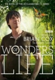 Hayatın Mucizeleri Wonders of Life