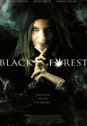 Kara Orman Black Forest