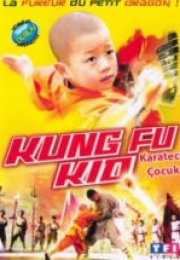 Karateci Çocuk & Kanfû kun