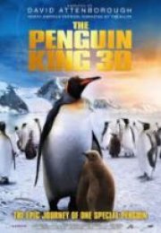 Kral Penguen The Penguin King