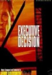 Kritik Karar & Executive Decision