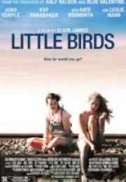 Küçük Kuşlar Little Birds