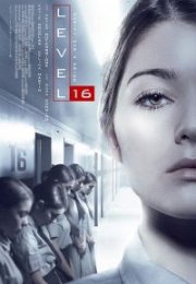 Level 16