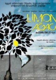 Limon Ağacı Lemon Tree