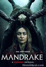 Mandrake