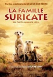 Mirket Ailesi & The Meerkats