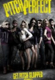 Mükemmel Saha Pitch Perfect