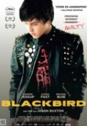 Siyah Kuş Blackbird