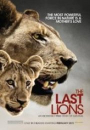 Son Aslanlar Belgeseli The Last Lions