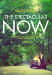 Şu An Muhteşem The Spectacular Now