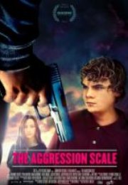 The Aggression Scale