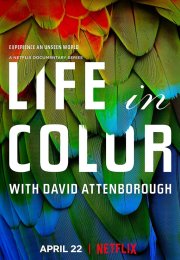 Attenborough’s Life in Colour