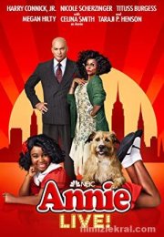 Annie Müzikali