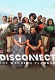 Disconnect The Wedding Planner