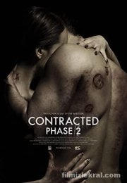 Contracted Phase II