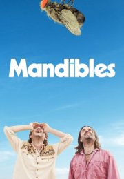 Mandibules