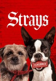 Strays
