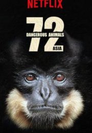 72 Dangerous Animals Asia