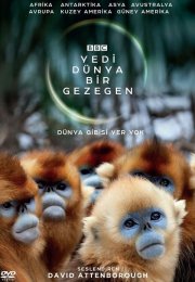 Yeni Dünya,Bir Gezegen