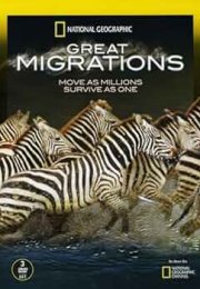 Great Migrations