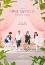 The Secret Life of My Secretary