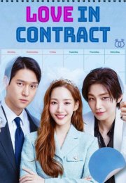 Love in contract