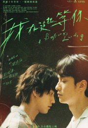 Yitik Balinalar Koyu