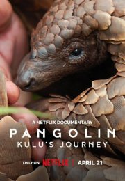 Pangolin Kulu’nun Yolculuğu