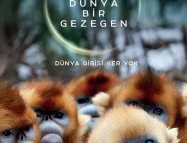Yeni Dünya,Bir Gezegen
