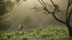 33. Ankara Film Festivali Biletleri Yarın Satışa Çıkıyor!