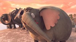 “Kral Fil” Sinemalarda!