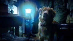 Korku Filmi “Good Boy”dan İlk Fragman Yayınlandı!