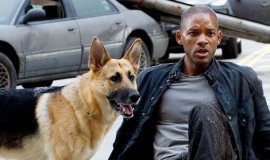 2007’deki çıkışından tam on yıl sonra, Will Smith’in post-apokaliptik korku filmi “I Am Legend”ın devam filmi geliyor!