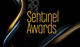 Sentinel Ödülleri Sahiplerini Buldu; ‘Grey’s Anatomy’, ‘The Diplomat’, ‘Tiny Beautiful Things’ ve diğerleri..
