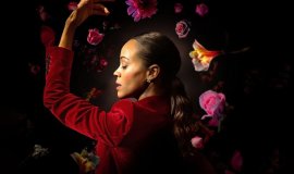 Amerikan Film Enstitüsü (AFI) 2024’ün En İyi Film ve Dizilerini Belirledi