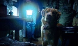 Korku Filmi “Good Boy”dan İlk Fragman Yayınlandı!