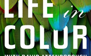 Attenborough’s Life in Colour