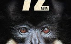 72 Dangerous Animals Asia