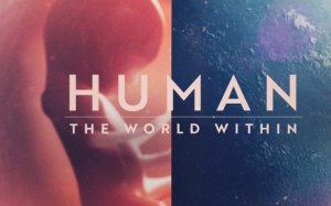 Human: The World Within