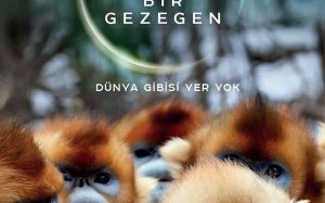 Yeni Dünya,Bir Gezegen