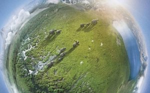 Planet Earth 2
