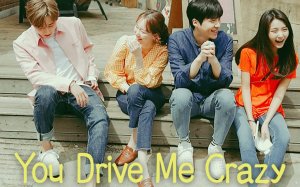 You Drive Me Crazy