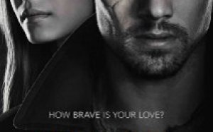 Beauty and The Beast