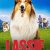 Lassie Yepyeni Bir Macera