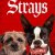 Strays