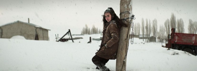 “Kuru Otlar Üstüne”nin Türkiye Prömiyer Altın Koza’da!